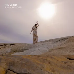 The wind